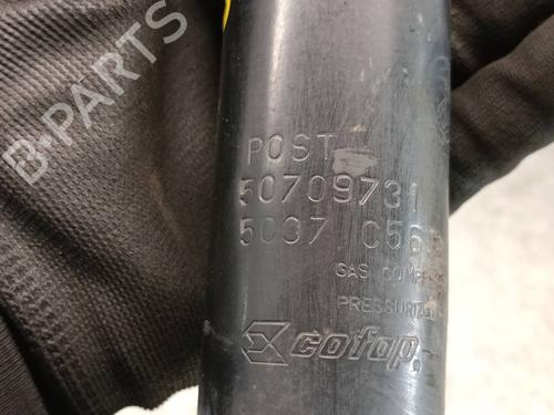 Right rear shock absorber FIAT 500 (312_) 1.2 (312AXA1A) | BP17862321M19 