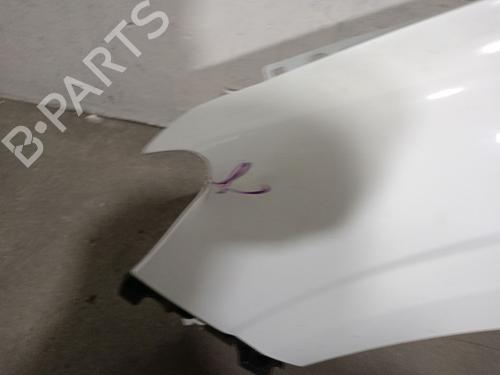 Left front fenders DACIA SANDERO III 1.0 TCe 90 | BP28513998C41