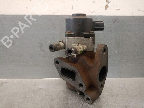 Egr NISSAN PATHFINDER III (R51) 2.5 dCi | BP29866623M69 