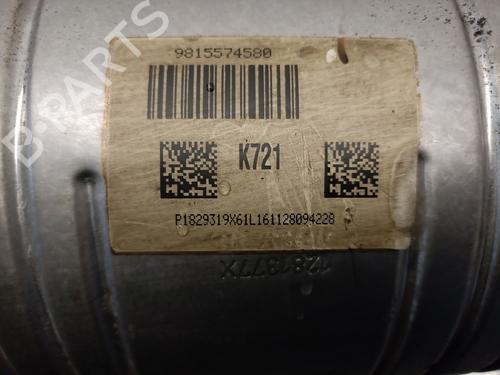 Catalyst PEUGEOT 208 I (CA_, CC_) 1.6 BlueHDi 100 | BP29308936M10 