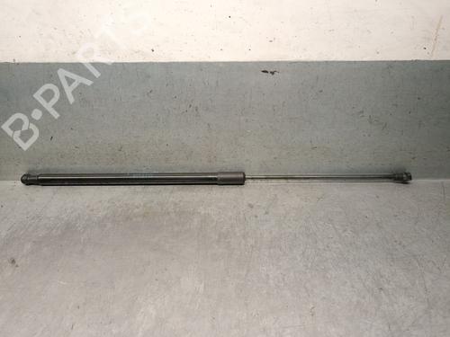 Gasfjeder motorhjelm DACIA DUSTER (HM_) 1.5 dCi 115 4x4 (HMAD) (116 hp) 32134949