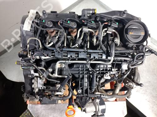 Engine SKODA SUPERB II (3T4) 1.6 TDI | BP36785103M1  - Image 6