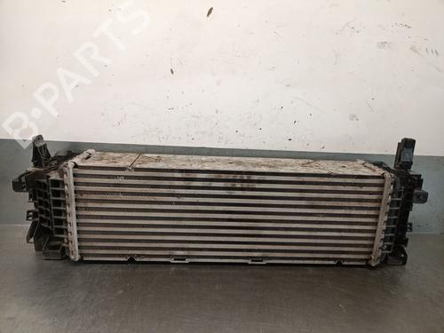 Intercooler BMW X6 (G06, F96) xDrive 40 d Mild-Hybrid | BP28726112M30 