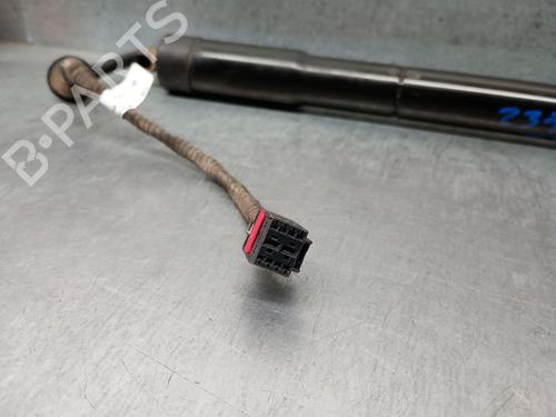 Tailgate lift support LAND ROVER RANGE ROVER SPORT I (L320) 3.0 D 4x4 | BP28337283C138 
