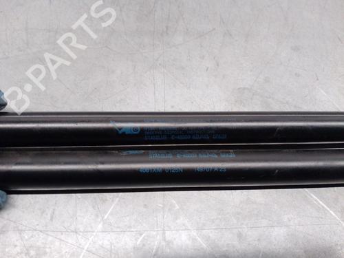 Tailgate lift support CITROËN C4 Picasso I MPV (UD_) 2.0 HDi 138 | BP20125941C138 