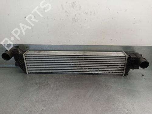 Intercooler RENAULT ESPACE IV (JK0/1_) 2.0 dCi (JK01, JK02, JK1J, JK1K, JK1H) (150 hp) 27807400