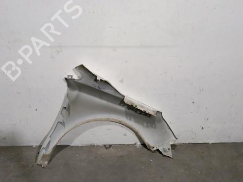 Left front fenders CITROËN C4 II (NC_) 1.6 VTi 120 (NC5FS0, NC5FS9) | BP29052462C41 