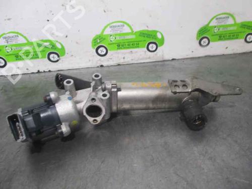 Egr JAGUAR S-TYPE II (X200) 2.7 D | BP2595490M69 