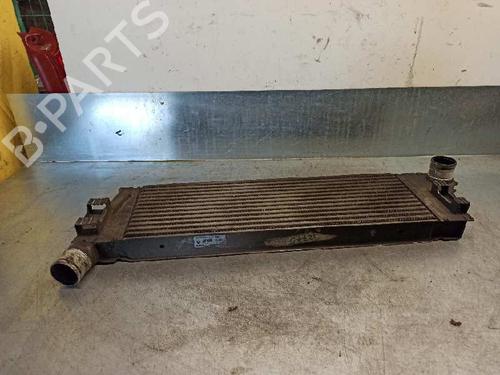 Intercooler RENAULT MEGANE II Estate (KM0/1_) 1.9 dCi | BP7272066M30 