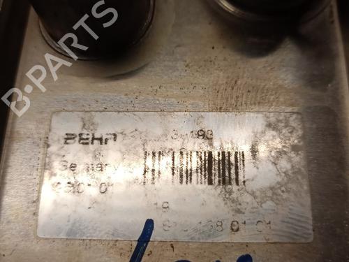 Oil radiator MERCEDES-BENZ E-CLASS (W210)  | BP31022534M33 