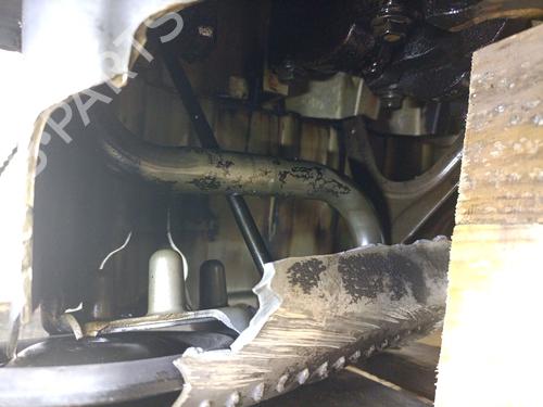 Engine SEAT CORDOBA (6L2) 1.4 16V | BP31194296M1 