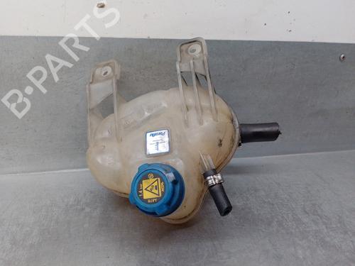 Ekpansionstank FIAT GRANDE PUNTO (199_) 1.3 D Multijet (75 hp) 16493980