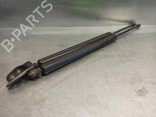 Tailgate lift support SEAT ALHAMBRA (7V8, 7V9)  | BP20255777C138 