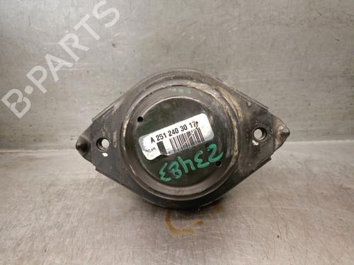 Engine mount MERCEDES-BENZ M-CLASS (W164) ML 450 CDI 4-matic (164.128) | BP29027771M89