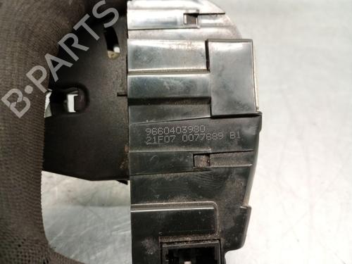 Tailgate lock PEUGEOT 207 (WA_, WC_) 1.4 16V | BP29754372C101