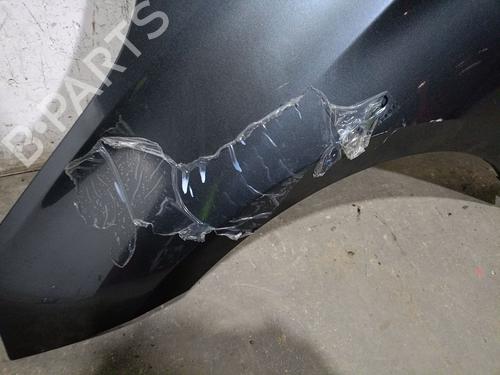 Left front fenders BMW 2 Active Tourer (F45) 218 d | BP25238694C41 