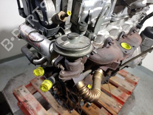 Engine CHEVROLET CAPTIVA (C100, C140) 2.0 D 4WD | BP37444700M1 - Image 10