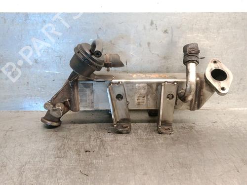 Egr OPEL MOVANO B Van (X62) 2.3 CDTI FWD (FV) | BP29138638M69 