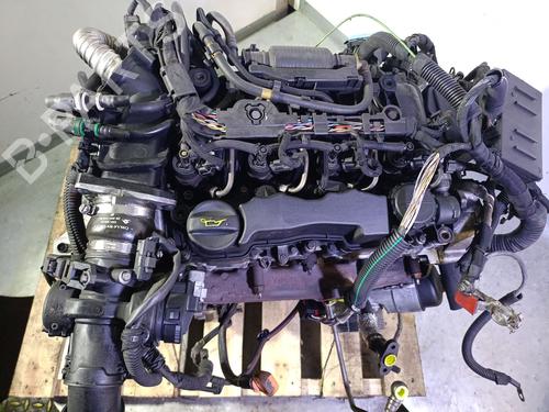 Engine CITROËN BERLINGO / BERLINGO FIRST MPV (MF_, GJK_, GFK_) 1.6 HDI 75 (MF9HW, GJ9HWC, GF9HWC, GN9HWC) | BP29395466M1 