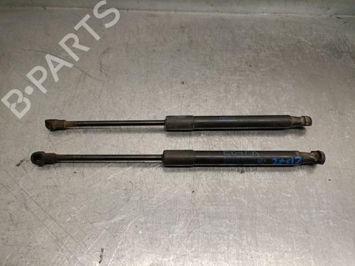 Used Hood lift support BMW X1 (E84) sDrive 18 d (143 hp) 22726413