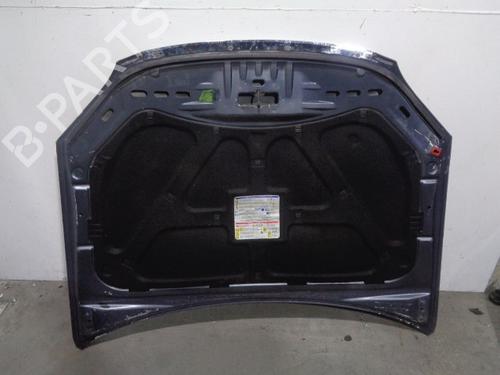 Hood FIAT CROMA (194_) 1.9 D Multijet | BP12136159C1