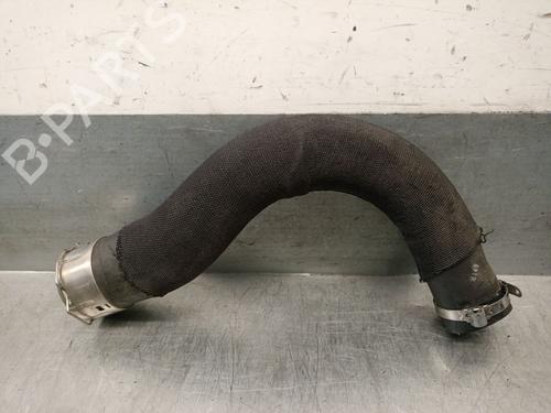 Used Pipe RENAULT CAPTUR II (HF_) TCe 90 (HFM6) (91 hp) 29706554