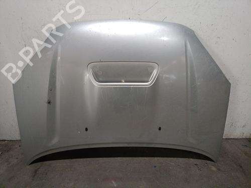 hood-toyota-rav-4-ii-_a2_-2000-2001-2002-2003-2004-2005-38651746 main image