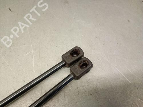 Tailgate lift support VW POLO (9N_, 9A_) 1.4 16V | BP24394550C138 