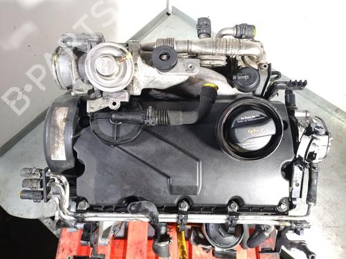 Engine VW GOLF V (1K1) 1.9 TDI | BP39142232M1 - Image 6