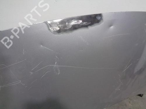 Hood RENAULT SCÉNIC III (JZ0/1_) 1.5 dCi (JZ02, JZ0R) | BP20252475C1 