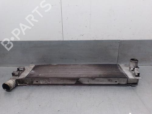 Intercooler RENAULT GRAND SCÉNIC II (JM0/1_) 1.9 dCi (JM0G, JM12, JM1G, JM2C) | BP28139123M30 