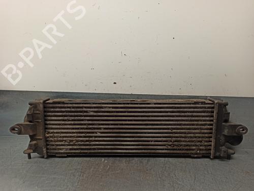 Intercooler NISSAN PRIMASTAR Van (X83) 2.0 dCi 115 | BP11927960M30 