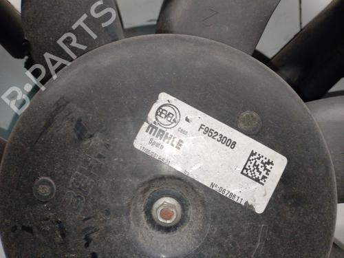 Radiator fan FIAT DUCATO Van (250_) 140 Natural Power | BP30169995M35 