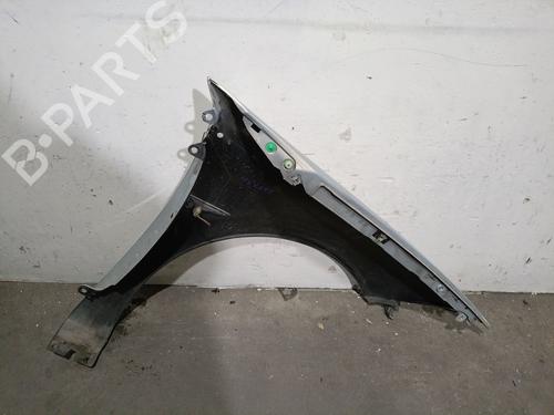 Left front fenders RENAULT MEGANE II (BM0/1_, CM0/1_) 1.9 dCi (BM0G, CM0G) | BP29077352C41