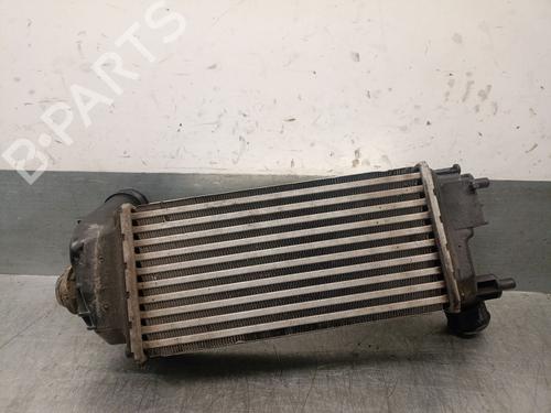 Intercooler FORD PUMA (J2K, CF7) 1.0 EcoBoost | BP29807021M30 