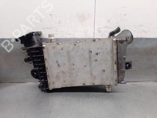 Used Intercooler MERCEDES-BENZ E-CLASS (W213) E 350 d (213.033) (258 hp) 23082257