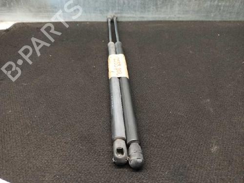 Tailgate lift support PEUGEOT 406 Break (8E/F)  | BP20257391C138 