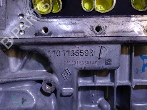 Engine DACIA SANDERO II TCe 90 LPG (B8M1) | BP29352125M1 