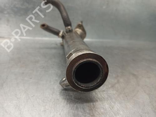 Egr RENAULT VEL SATIS (BJ0_) 3.0 dCi (BJ0J, BJ0N) | BP20263990M69 