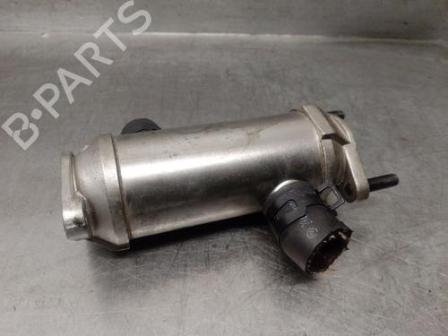 Egr KIA CARNIVAL II (GQ) 2.9 CRDi | BP30863911M69