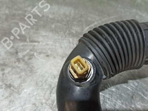 Pipe RENAULT MEGANE I Classic (LA0/1_) 1.6 e (LA0F, LA0S) | BP20254100M125 