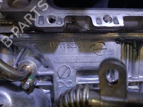 Engine NISSAN JUKE (F16_) 1.0 | BP25236060M1 