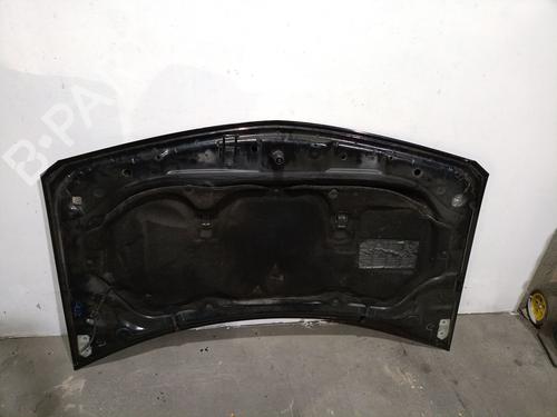Hood RENAULT MEGANE II (BM0/1_, CM0/1_) 1.9 dCi | BP20310366C1