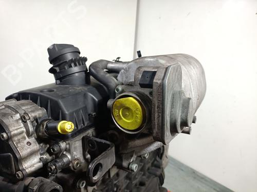 Engine VW CADDY III Box Body/MPV (2KA, 2KH, 2CA, 2CH) 2.0 SDI | BP36239021M1  - Image 12