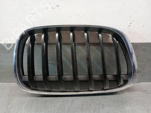 Used Grille BMW X1 (F48) sDrive 16 d (116 hp) 25919104