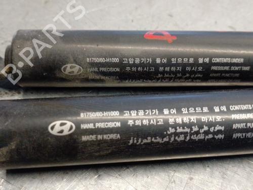 Tailgate lift support HYUNDAI TERRACAN (HP) 2.9 CRDi | BP29478591C138 