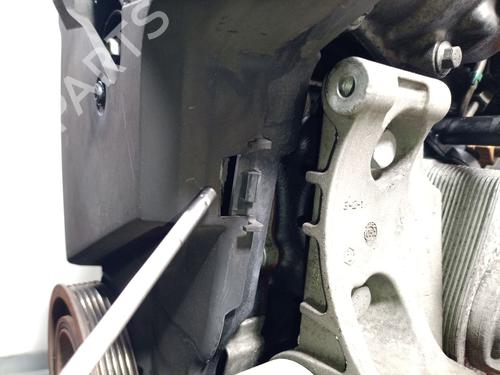 Engine RENAULT CLIO III (BR0/1, CR0/1) 1.5 dCi (BR17, CR17) | BP31717292M1 