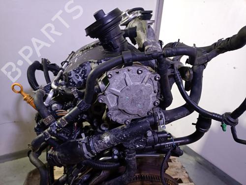 Engine SKODA FABIA II Combi (545) 1.9 TDI | BP25240527M1 