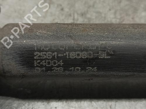 Right rear shock absorber FORD FIESTA V (JH_, JD_)  | BP17039236M19 