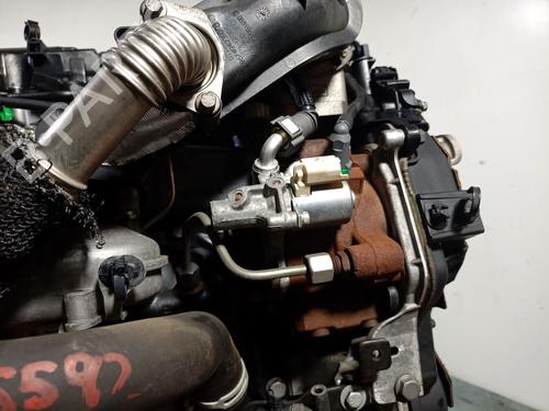 Engine FORD C-MAX II (DXA/CB7, DXA/CEU) 1.6 TDCi | BP36238995M1  - Image 7